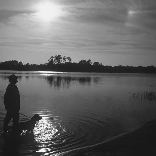 thumbnail for publication: A Beginner's Guide to Water Management—The ABCs